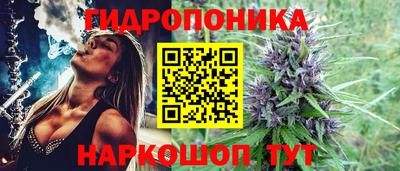ешки Гатчина