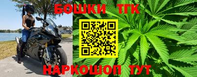 гидра Гай